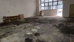 North Spring Bizhub (D27), Factory #562088781